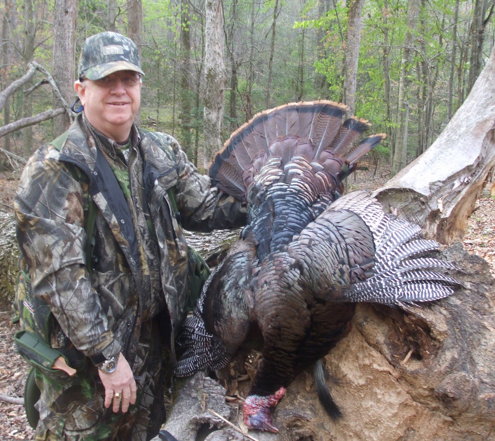 FoothillsOutdoors: Trophy Turkey taken in upstate image.