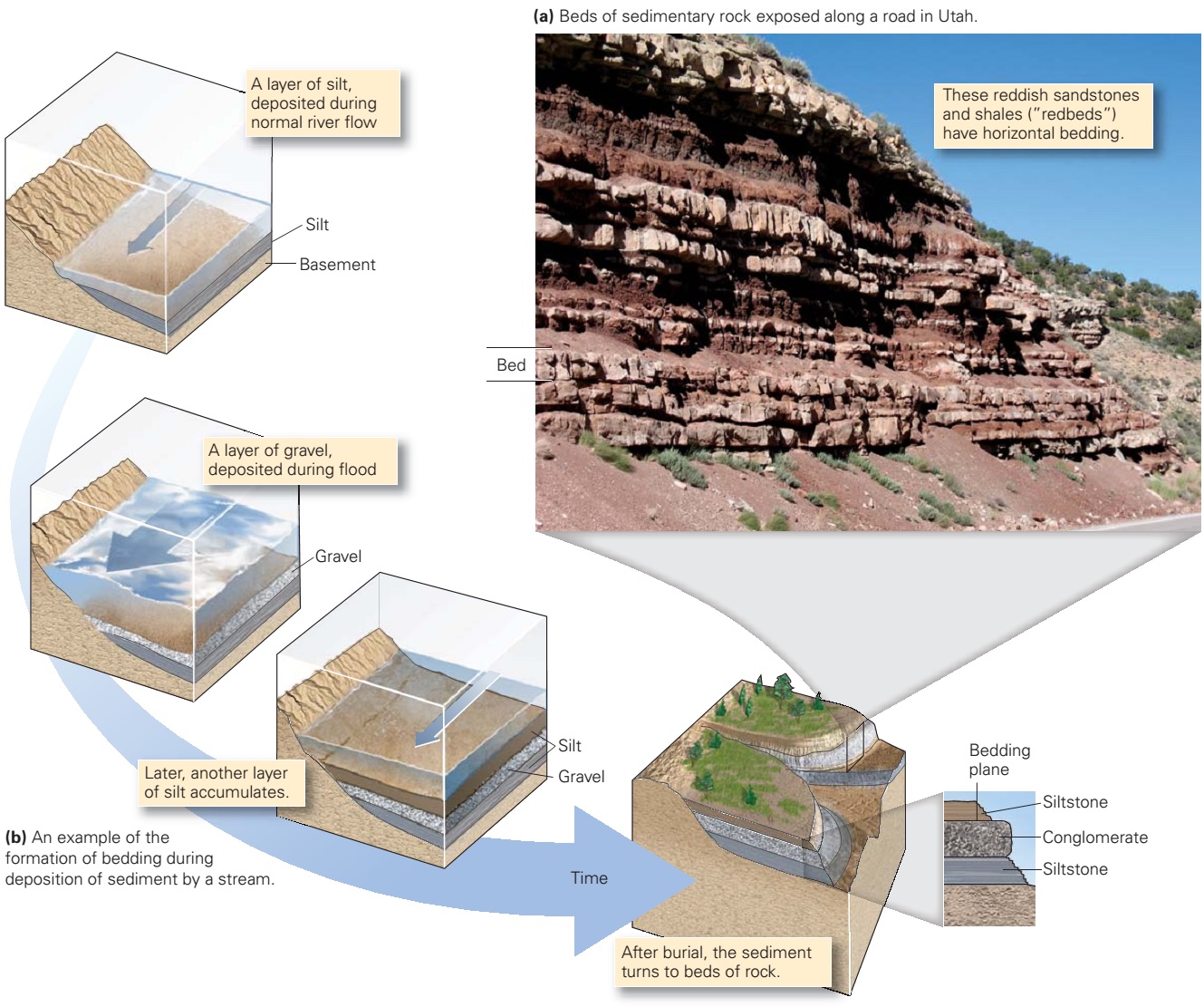 Sedimentary Rock Layers Diagram