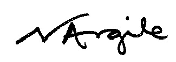 N Argile signature