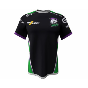 Virtus Pro Jersey Sponsor Logo 2018