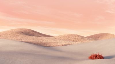 Desert, Aesthetic, Landscape, Microsoft Surface Laptop, Pink sky, 5K, 8K, Stock, Summer