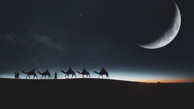 Camels, Silhouette, Moon, Dark background, Night sky, Stars, 5K, 8K