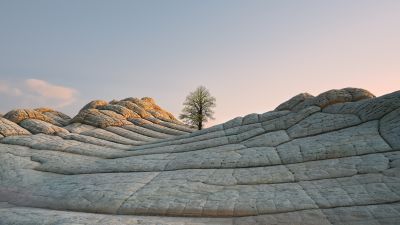 macOS Big Sur, Daylight, Stock, Daytime, Lone tree, Sedimentary rocks, iOS 14, 5K, Vermilion Cliffs