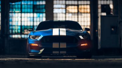 Ford Mustang Shelby GT350, American muscle car, Muscle sports cars, 5K