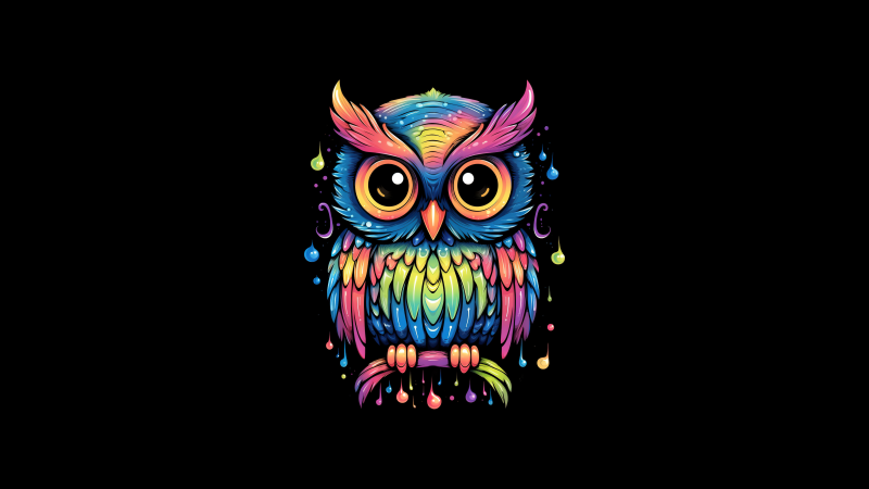 Colorful Owl, Cute art, AMOLED, 8K, Cute bird, Kawaii, Black background, Digital Art, 5K