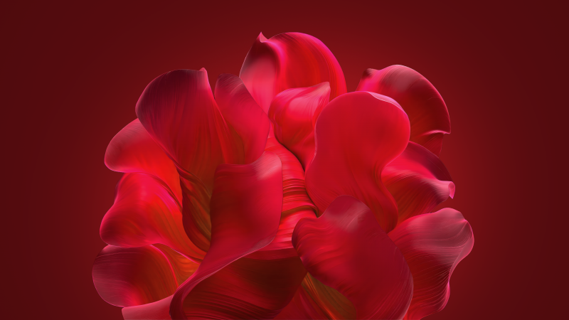 Windows 11, Bloom collection, Red background, Red abstract, Red aesthetic, Wallpaper