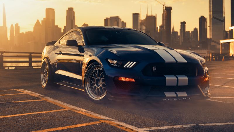 Ford Mustang Shelby GT350, Performance Sedan, 5K, Wallpaper