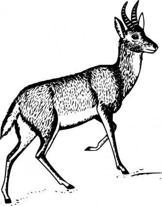 Bohor Reedbuck clip art