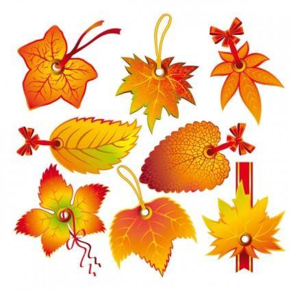 Beautiful leaves 2 tag vector