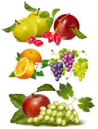 Fruits vector