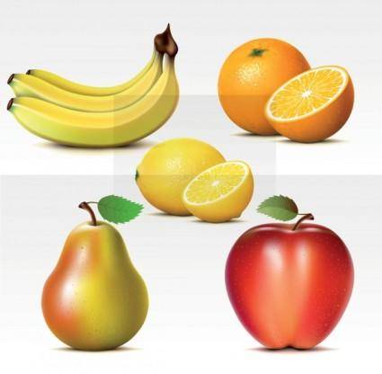 Fresh fruits vector