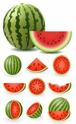 Watermelon clip art