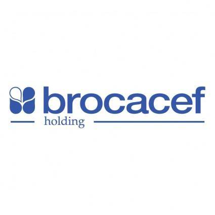 Brocacef holding