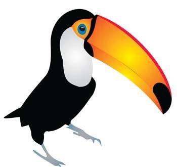 Toucan