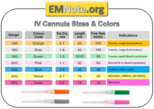 Y Type Scalp Type Iv Intravenous Cannula Iv Catheter