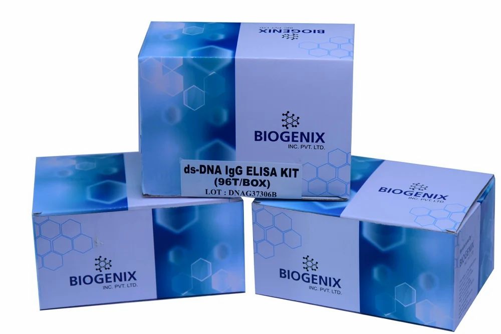 Biogenix DsDNA ELISA Kit (Qualitative) at Rs 13500/kit in Lucknow | ID ...