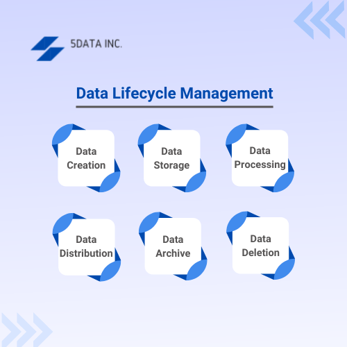 5 Ways Data Lifecycle Management Can Transform Your Business Potential