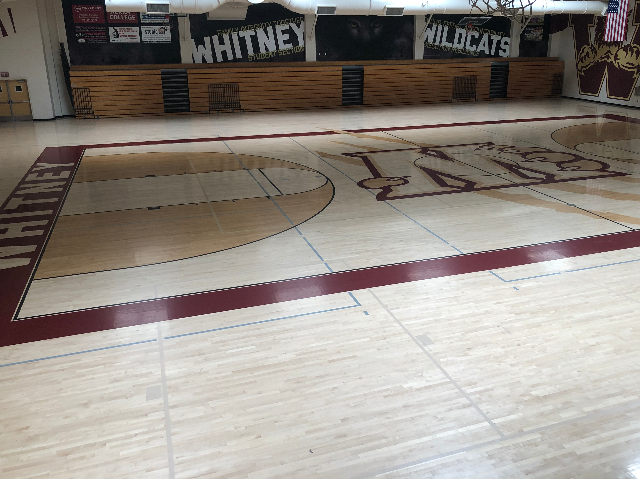 Wildcat Gymnasium 0