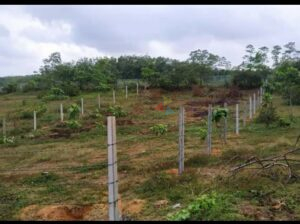 Land For Sale In Matugama