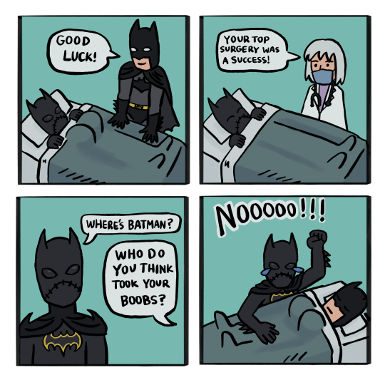 A four panel comic with Cassandra Cain as Batgirl, Bruce Wayne as Batman, and Leslie Thompkins from DC Comics. In the first panel, Cass lays in a hospital bed with a blanket covering her. It's visible that under the blanket she has big boobs. By her bedside is Bruce who says, "Good luck!" The second panel has Cass still laying in the same hospital bed with the blanket, but now she has no boobs. By her bedside stands Leslie who says, "Your top surgery was a success!" Cass looks elated. In the third panel, Cass, now standing, asks, "Where's Batman?" Leslie, from outside of the panel answers, "Who do you think took your boobs?" In the fourth panel, Cass stand's over Bruce's bedside crying and with a fist raised in the air, while she cries out, "Nooooo!!!" Bruce is in a hospital bed and now has big boobs.