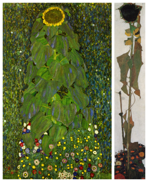 Left: Gustav Klimt. The Sunflower (detail). 1907.
Right: Egon Schiele. Sunflower II. 1909.
FLOWERS FOR YOU!
A Valentine’s Day Gift from Klimt & Schiele
For Gustav Klimt and Egon Schiele (as for Vincent van Gogh, whose sunflower pictures were...