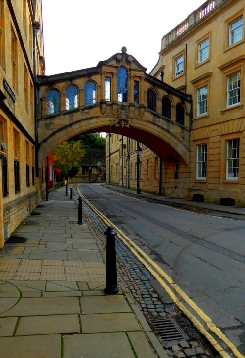 England: Oxbridge {Oxford + Cambridge]
-for more of my UK shots and more travel:travel britain european travel world travel UK travelLondon travel