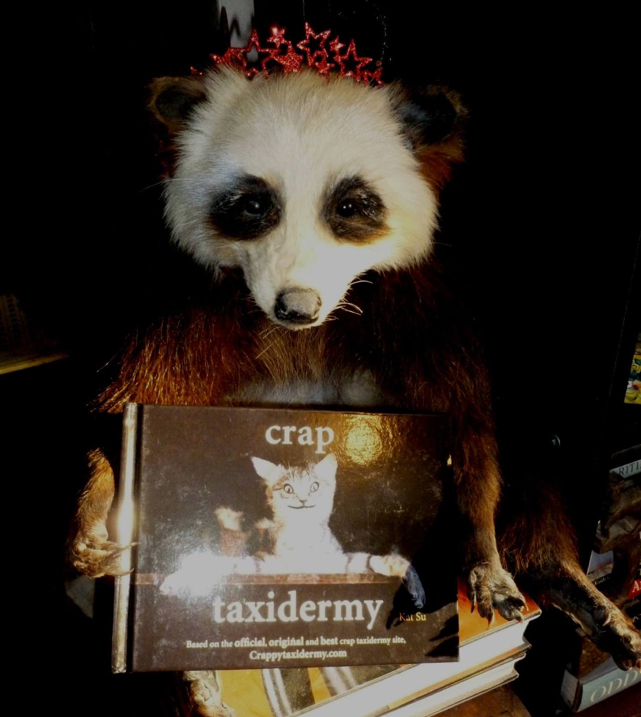 Fancy Pedro enjoying his copy of Crap Taxidermy in Brooklyn, NY.
Submitted and photographed by Jennifer Gordon