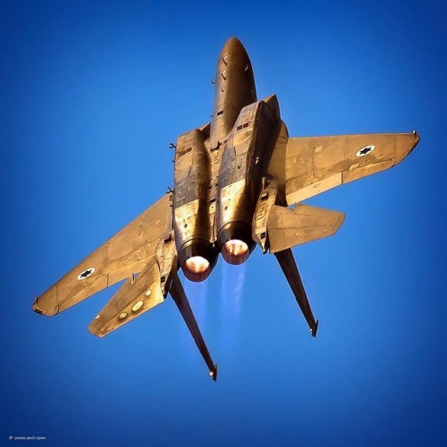 Israeli Air Force F-15 Eagle/”Baz” (Hebrew: Falcon)
Photo: xnir