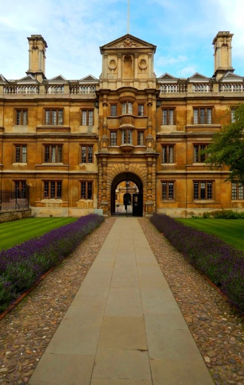 England: Oxbridge {Oxford + Cambridge]
-for more of my UK shots and more travel:travel britain european travel world travel UK travelLondon travel