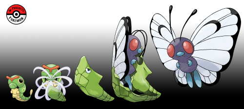 inprogresspokemon: #010.5 - Caterpie are common Pokemon that live anywhere with plentiful vegetation