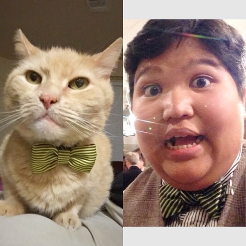 awkqueered:
“Mr. Henry and I got matching dapper bowties. I’m pretty sure he wore it better.
”
Look at this fancy cat.