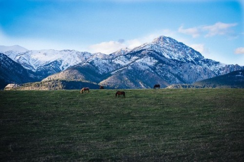 This is our kind of neigh-borhood. | 📷: IG user justinbigart