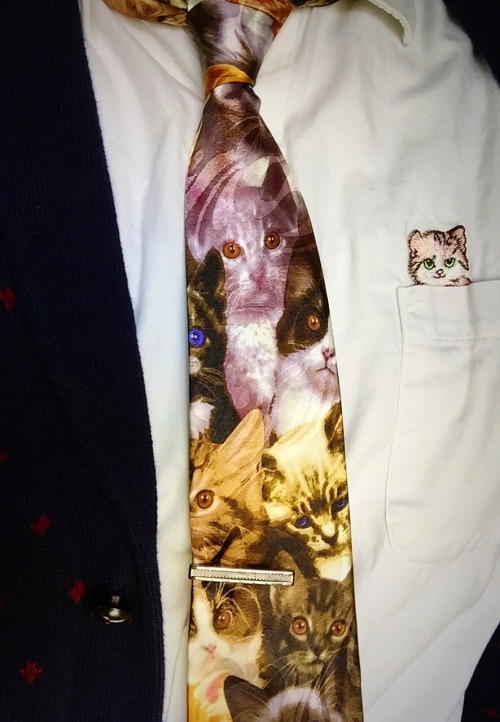 What I wore today!
cat lady forever