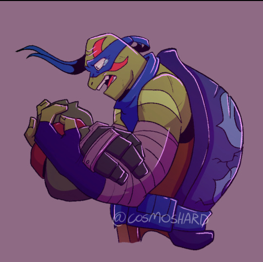 Rottmnt Raph Ref