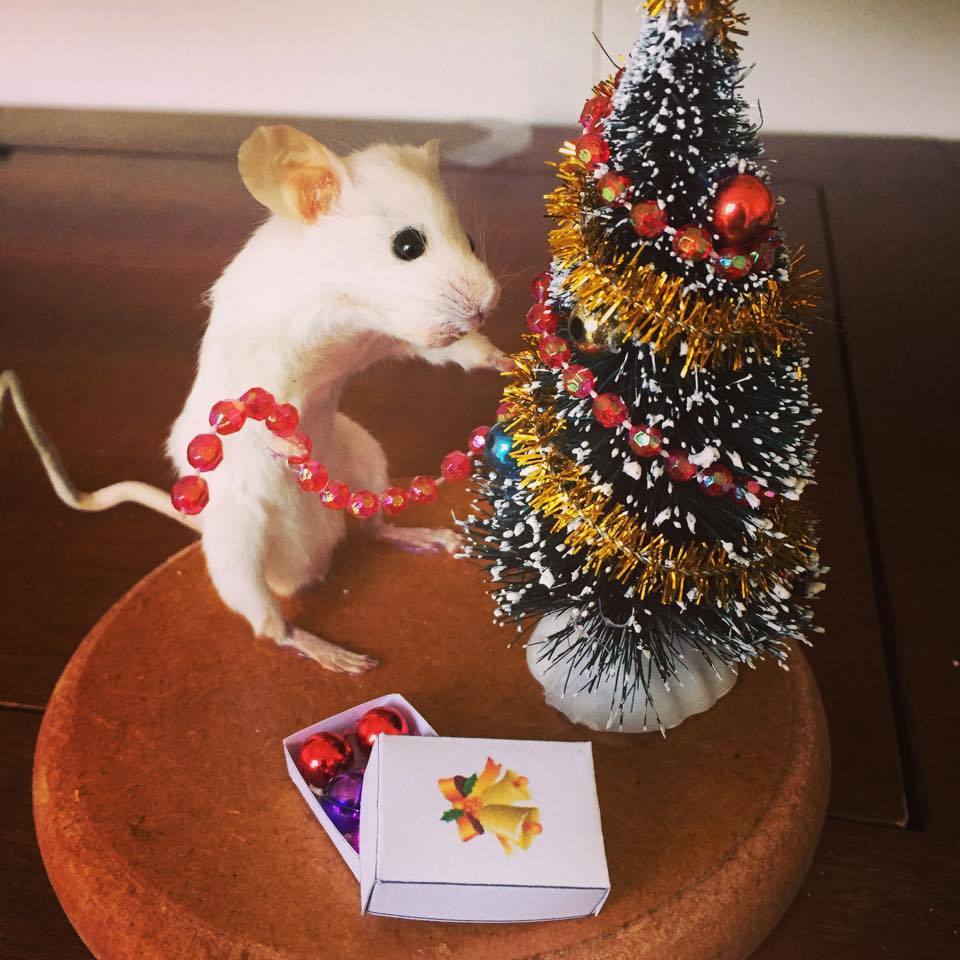 The best part about Christmas? Adorable Christmas-themed taxidermy.
Don’t forget that the Crap Taxidermy book has a DIY stuff-your-own mouse taxidermy section if you still need to make odd one-of-a-kind xmas presents for your friends.
Taxidermy by...