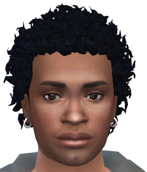 Afro Hair Gallery - a.k.a. Ethnic Hair Vault | The African Sim