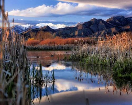 Let’s sit on the bank and listen to the quiet. l 📷: IG user coltonstifflerphotography