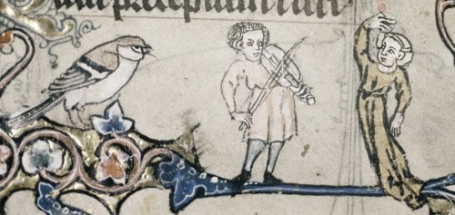 14th century (ca. 1320-1330) Ghent
Oxford, Bodleian Library
MS. Douce 6: a psalter
fol. 1r - a jolly scene; a bird (sparrow?) watching, a fiddler playing, a woman dancing
http://bodley30.bodley.ox.ac.uk:8180/luna/servlet/view/all/what/MS.+Douce+6
The...