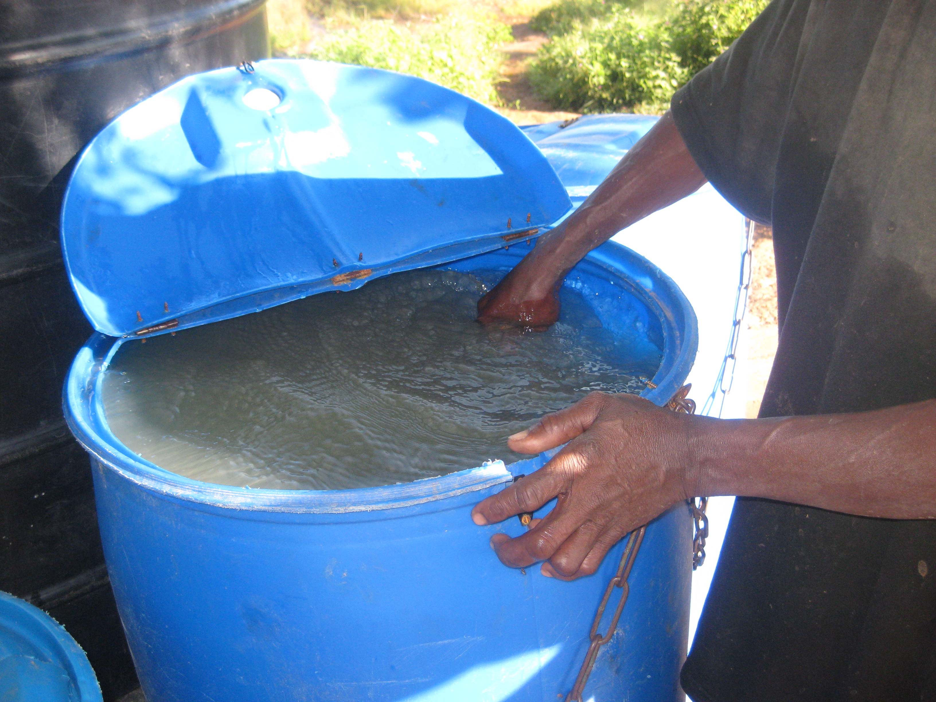 We usually add alum to the water in the everning, and by the next morning, the particles in the water settle to the bottom and the water is clear.