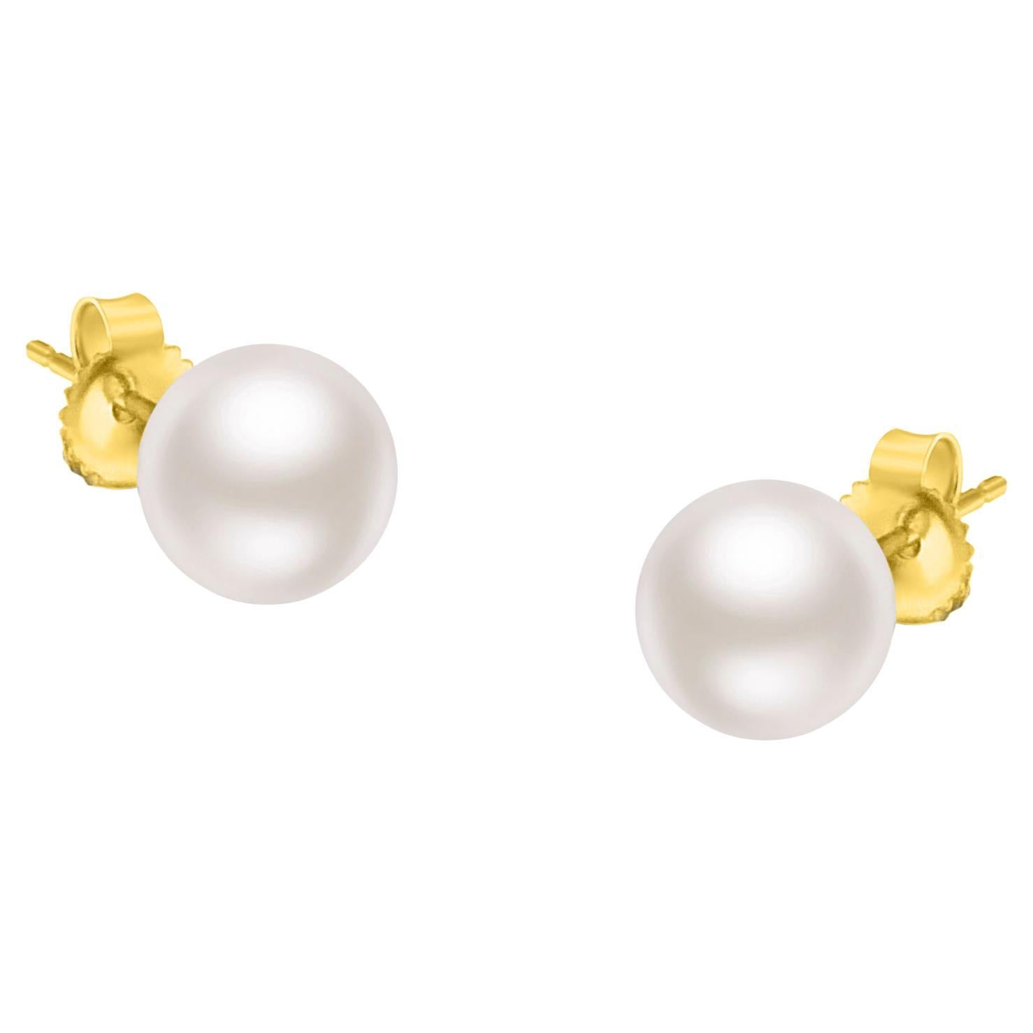 14K Yellow Gold Round Freshwater Akoya Cultured AAA+ Pearl Stud Earrings