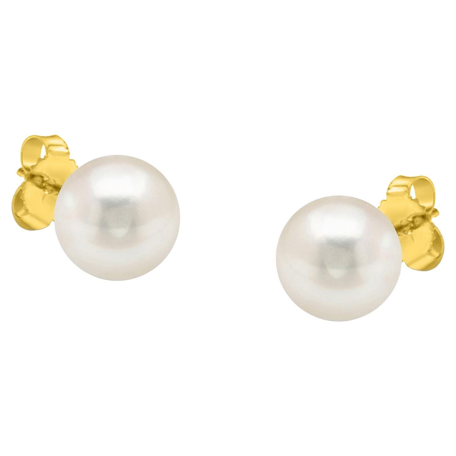 14K Yellow Gold Round Freshwater Akoya Cultured AAA+ Quality Pearl Stud Earrings