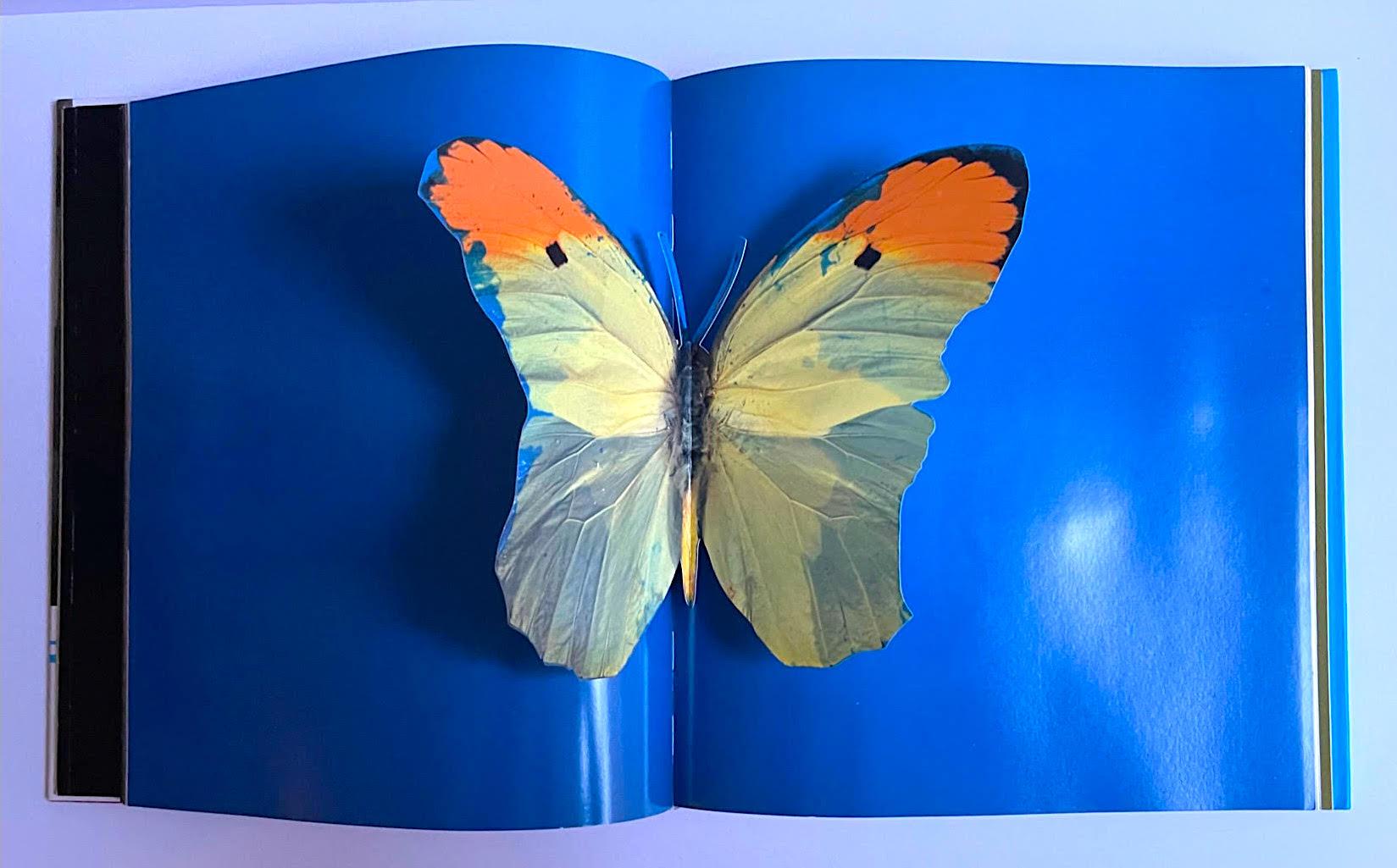 First edition hardback monograph (hand signed and inscribed by Hirst with heart) For Sale 2