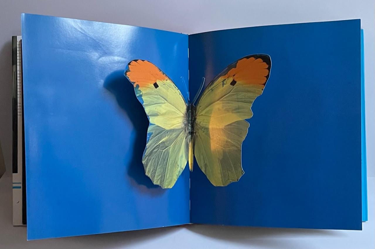 First edition hardback monograph (hand signed and inscribed by Hirst with heart) For Sale 6