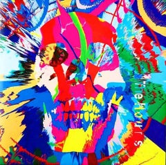 Rare Damien Hirst record art (Damien Hirst skull art)