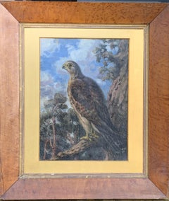 Early 20th century English portrait oil of a Falcon hunting bird in a landscape.