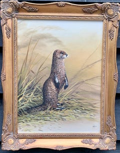 Portrait of an English Brown and White Otter, on the banks of a River Landscape