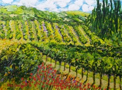 Mountain Vineyard