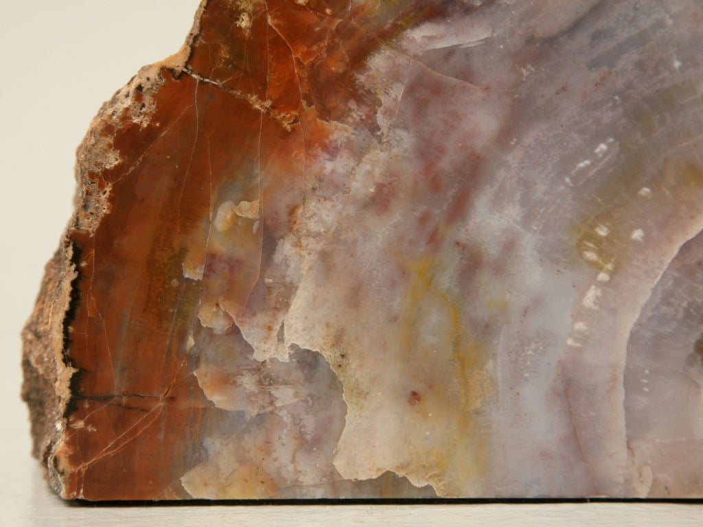 19th Century Pair of Natural Petrified Wood Bookends