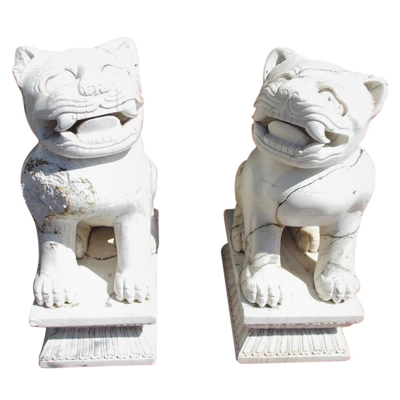 Pair of Chinese Carved Stone Foo Dogs on Rectangular Plinths, 20th Century For Sale