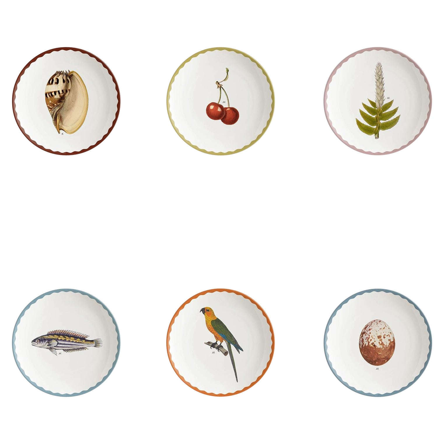 Cabinet de Curiosités, Six Contemporary Decorated Porcelain Bread Plates